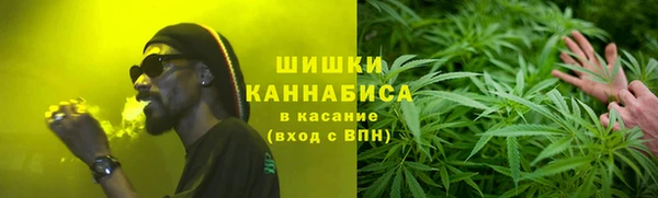 ГАЛЛЮЦИНОГЕННЫЕ ГРИБЫ Семёнов