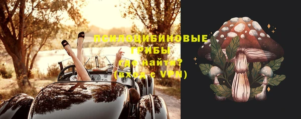 ешки Абинск