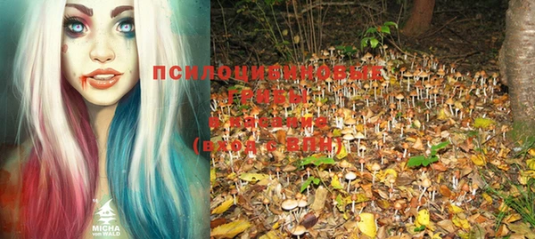 мяу мяу мука Снежинск