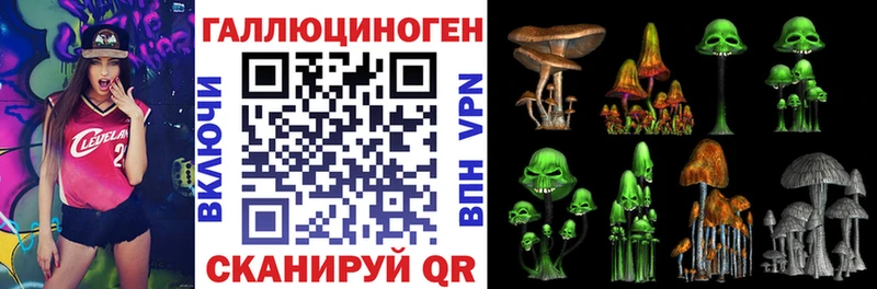 как найти закладки  Галич  blacksprut онион  Псилоцибиновые грибы Cubensis 